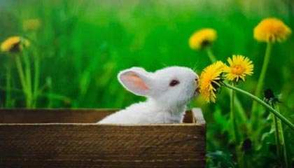 浚县伴游，定制QQ：3494206190微信：act1322